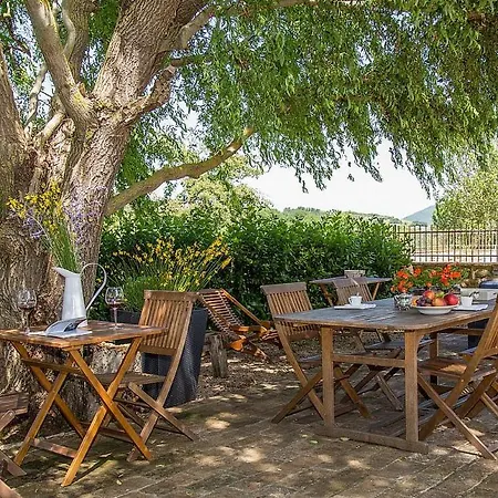 Sleeps 3 With Pool Galera